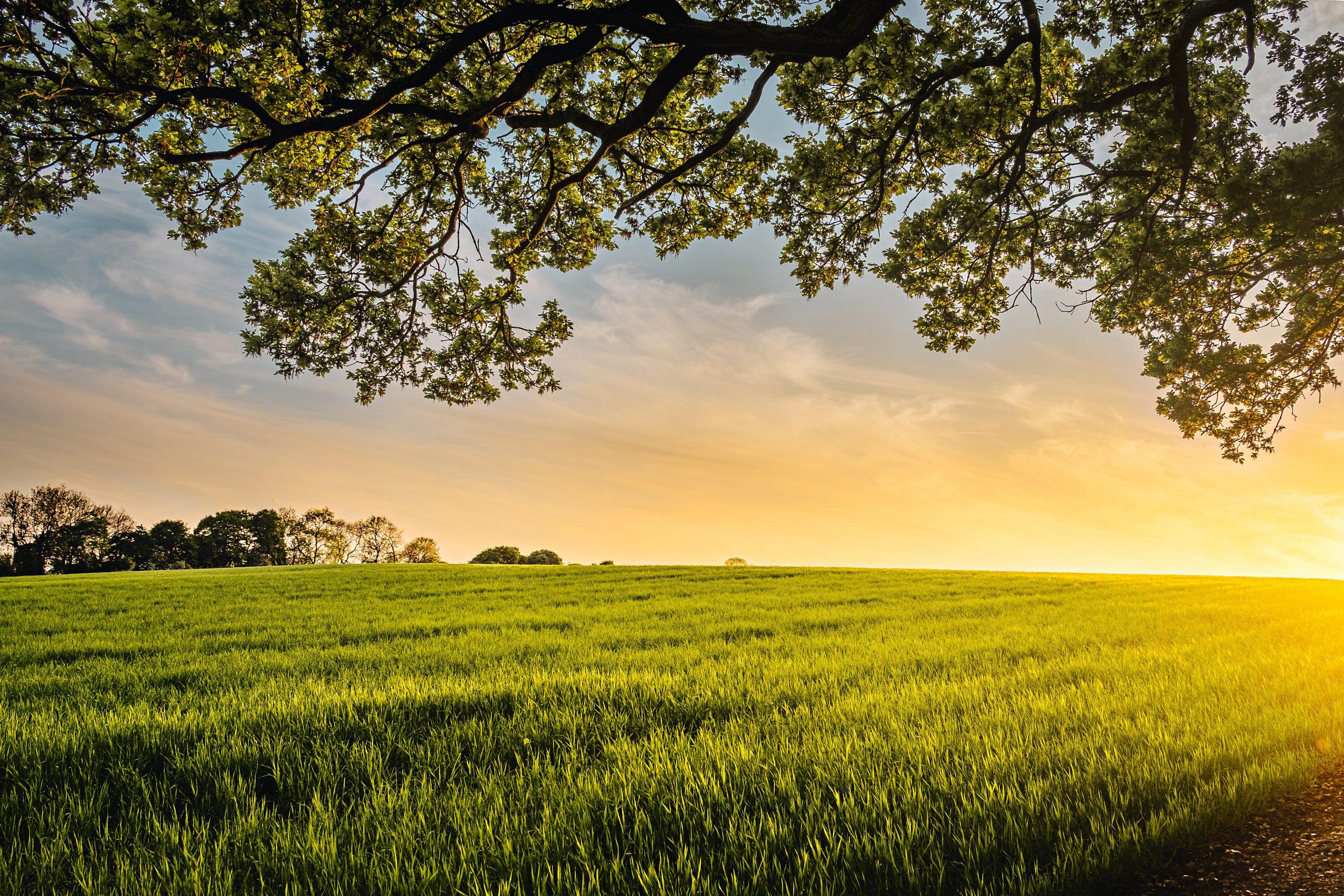 benjamin-davies-Zm2n2O7Fph4-unsplash Agricultural land